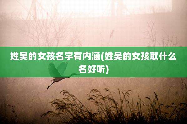 姓吴的女孩名字有内涵(姓吴的女孩取什么名好听)