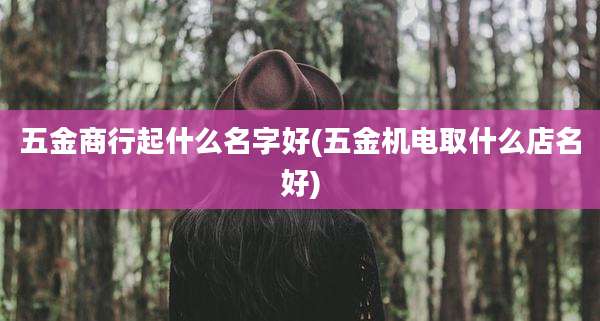 五金商行起什么名字好(五金机电取什么店名好)