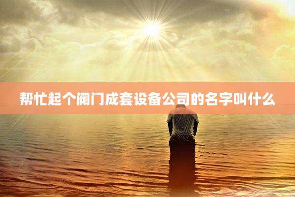 帮忙起个阀门成套设备公司的名字叫什么