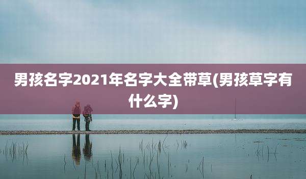 男孩名字2021年名字大全带草(男孩草字有什么字)