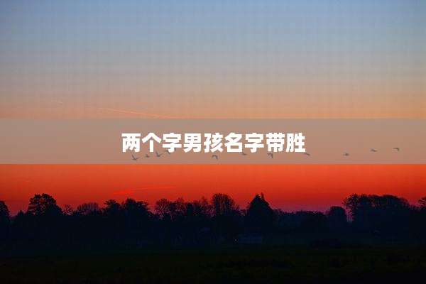 两个字男孩名字带胜