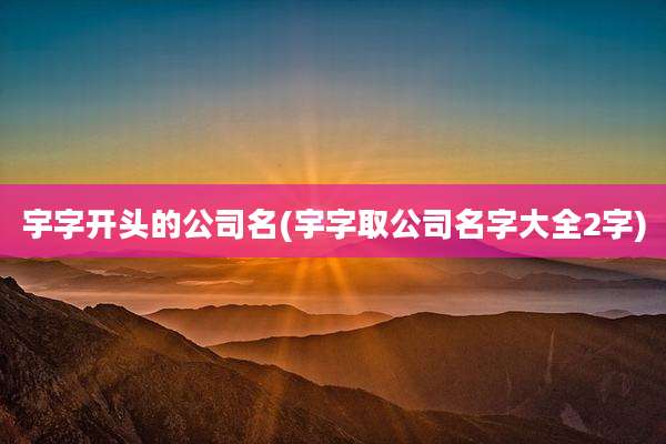 宇字开头的公司名(宇字取公司名字大全2字)