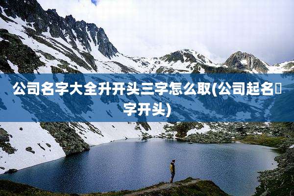 公司名字大全升开头三字怎么取(公司起名昇字开头)