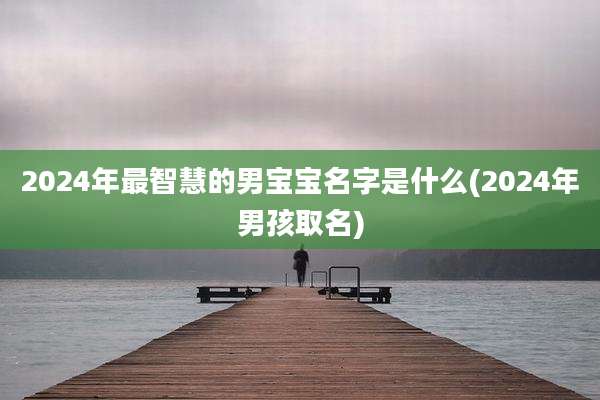 2024年最智慧的男宝宝名字是什么(2024年男孩取名)