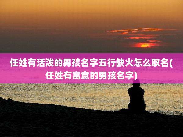 任姓有活泼的男孩名字五行缺火怎么取名(任姓有寓意的男孩名字)