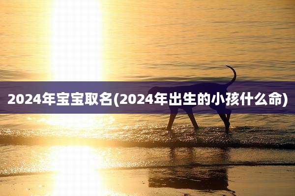 2024年宝宝取名(2024年出生的小孩什么命)