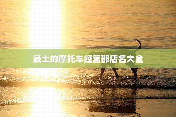 最土的摩托车经营部店名大全