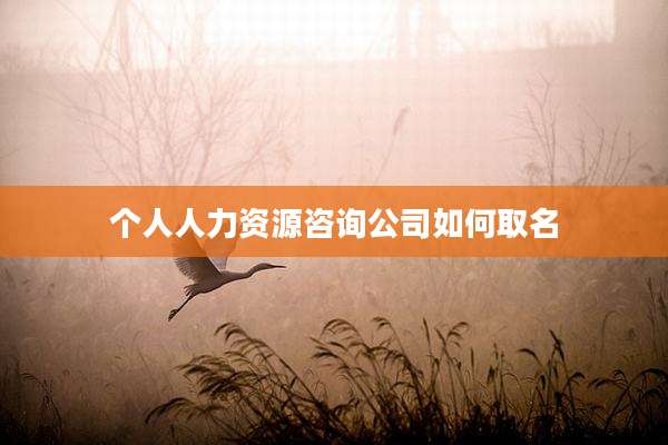 个人人力资源咨询公司如何取名