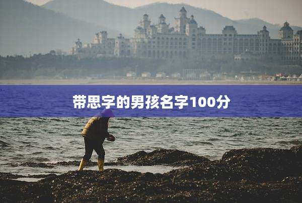 带思字的男孩名字100分