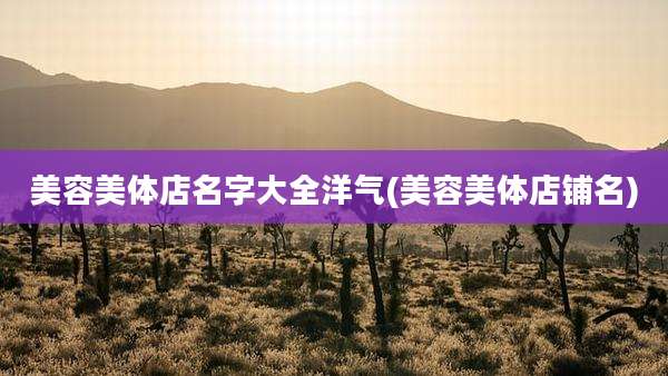 美容美体店名字大全洋气(美容美体店铺名)