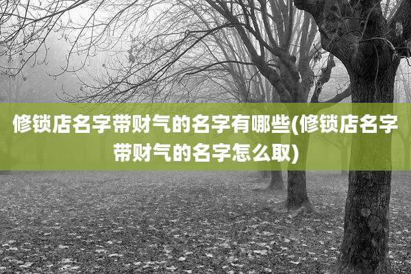 修锁店名字带财气的名字有哪些(修锁店名字带财气的名字怎么取)