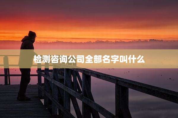 检测咨询公司全部名字叫什么