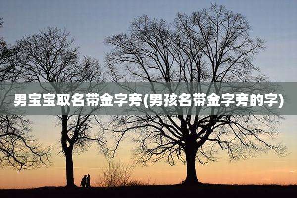 男宝宝取名带金字旁(男孩名带金字旁的字)
