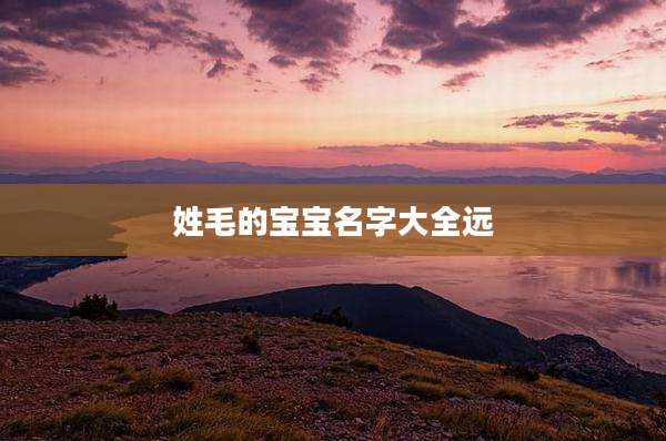 姓毛的宝宝名字大全远