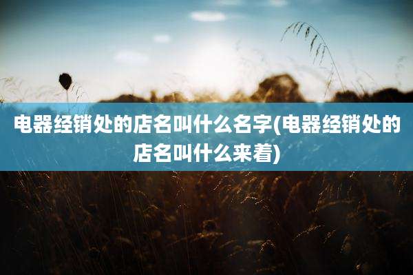 电器经销处的店名叫什么名字(电器经销处的店名叫什么来着)