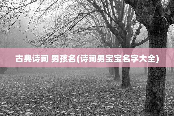 古典诗词 男孩名(诗词男宝宝名字大全)