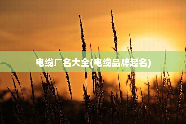 电缆厂名大全(电缆品牌起名)