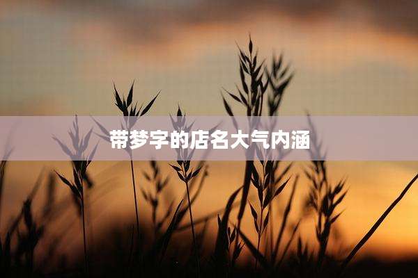 带梦字的店名大气内涵