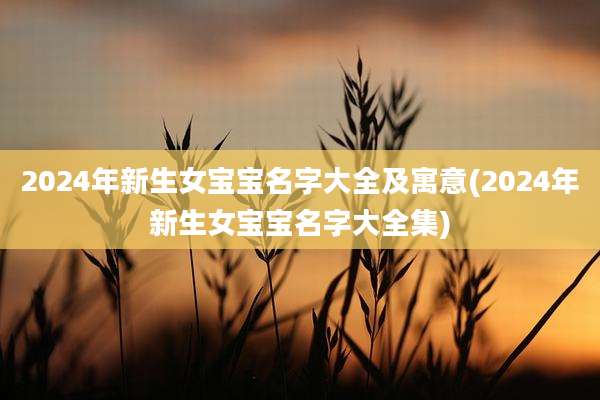 2024年新生女宝宝名字大全及寓意(2024年新生女宝宝名字大全集)