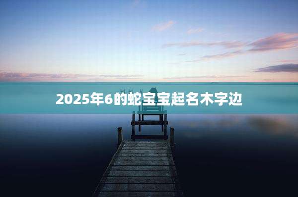2025年6的蛇宝宝起名木字边