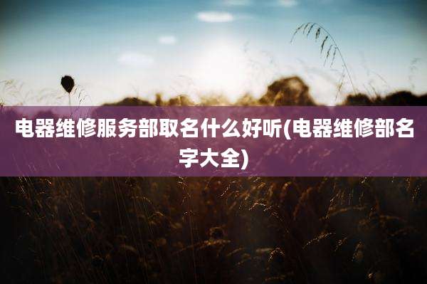 电器维修服务部取名什么好听(电器维修部名字大全)