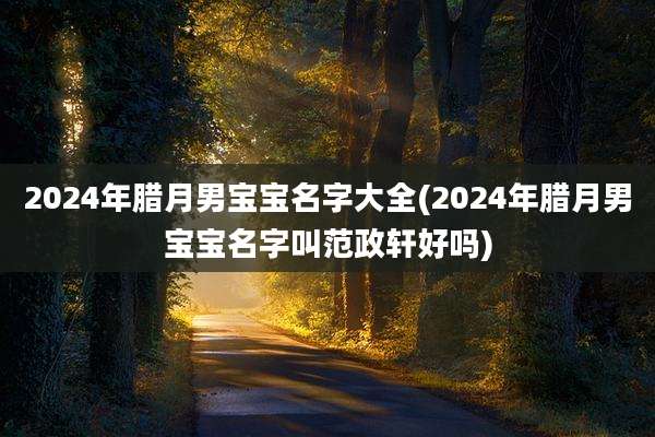 2024年腊月男宝宝名字大全(2024年腊月男宝宝名字叫范政轩好吗)