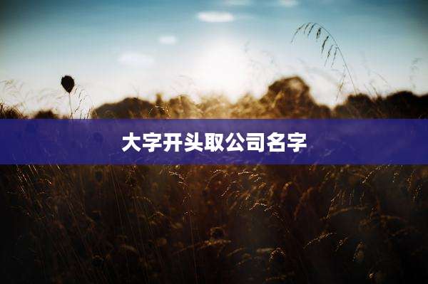 大字开头取公司名字