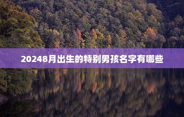 20248月出生的特别男孩名字有哪些
