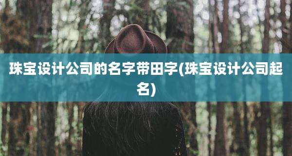 珠宝设计公司的名字带田字(珠宝设计公司起名)