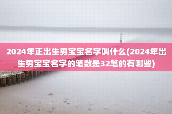 2024年正出生男宝宝名字叫什么(2024年出生男宝宝名字的笔数是32笔的有哪些)