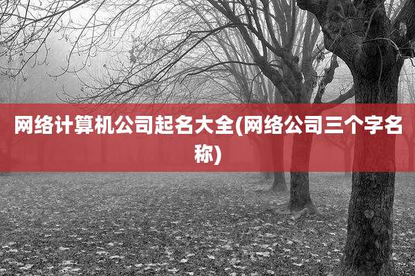 网络计算机公司起名大全(网络公司三个字名称)