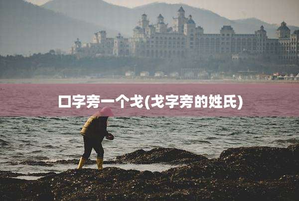 口字旁一个戈(戈字旁的姓氏)