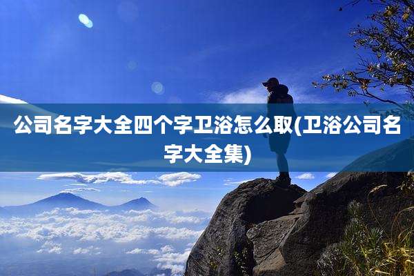 公司名字大全四个字卫浴怎么取(卫浴公司名字大全集)