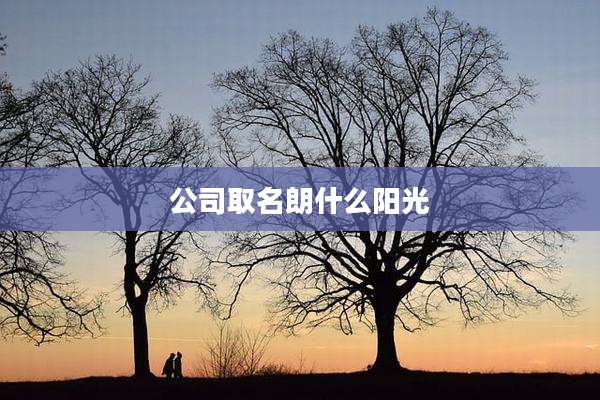 公司取名朗什么阳光