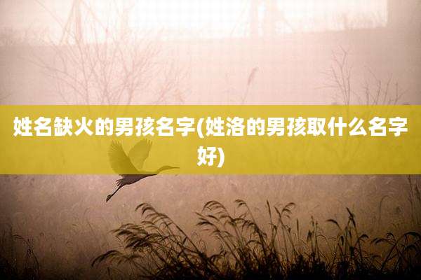 姓名缺火的男孩名字(姓洛的男孩取什么名字好)