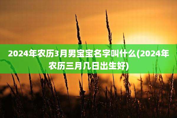 2024年农历3月男宝宝名字叫什么(2024年农历三月几日出生好)
