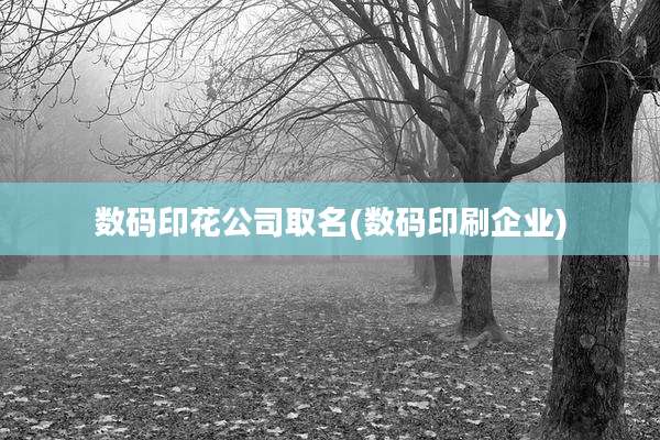 数码印花公司取名(数码印刷企业)