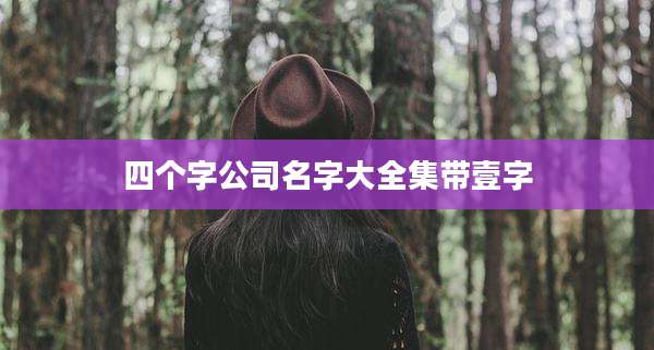 四个字公司名字大全集带壹字