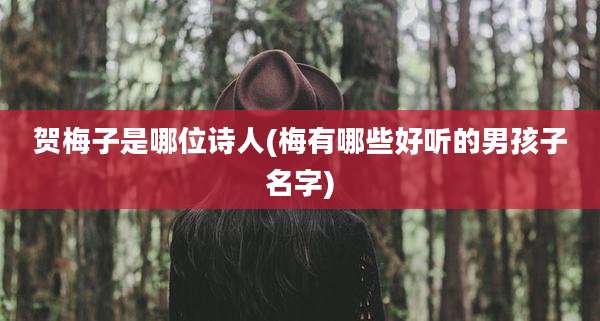贺梅子是哪位诗人(梅有哪些好听的男孩子名字)