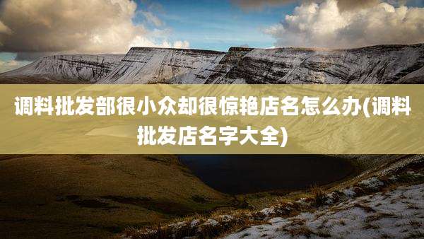 调料批发部很小众却很惊艳店名怎么办(调料批发店名字大全)