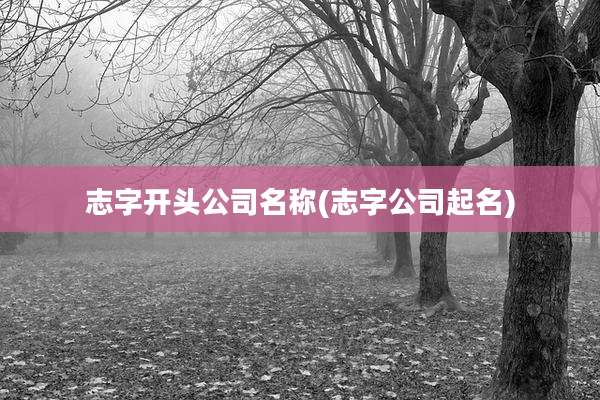 志字开头公司名称(志字公司起名)