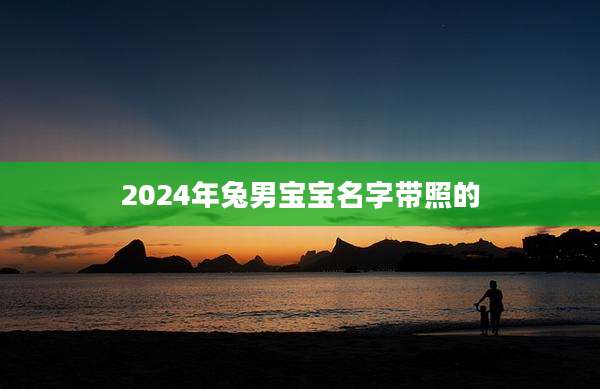 2024年兔男宝宝名字带照的