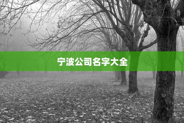 宁波公司名字大全