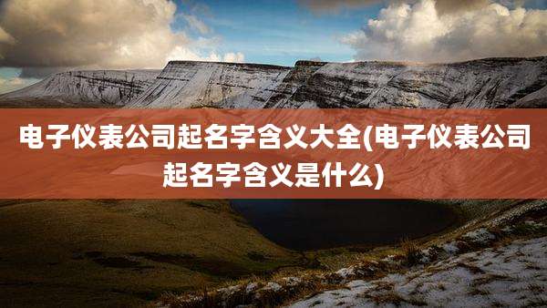 电子仪表公司起名字含义大全(电子仪表公司起名字含义是什么)