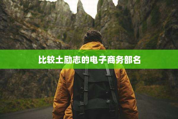 比较土励志的电子商务部名