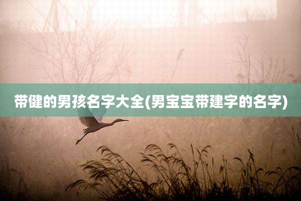 带健的男孩名字大全(男宝宝带建字的名字)