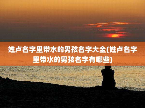 姓卢名字里带水的男孩名字大全(姓卢名字里带水的男孩名字有哪些)