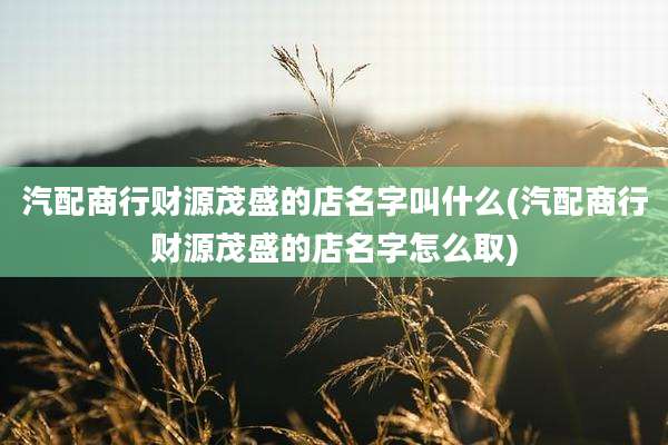 汽配商行财源茂盛的店名字叫什么(汽配商行财源茂盛的店名字怎么取)