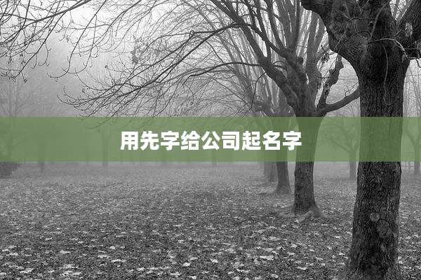 用先字给公司起名字