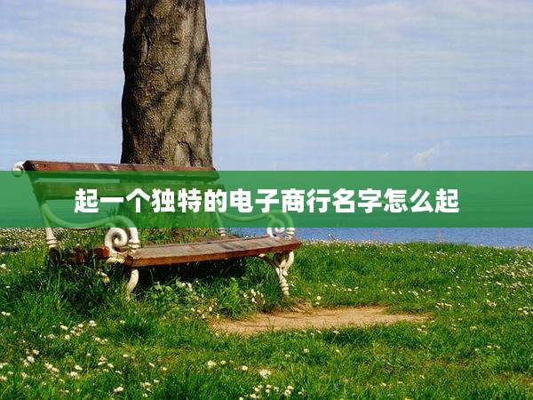 起一个独特的电子商行名字怎么起